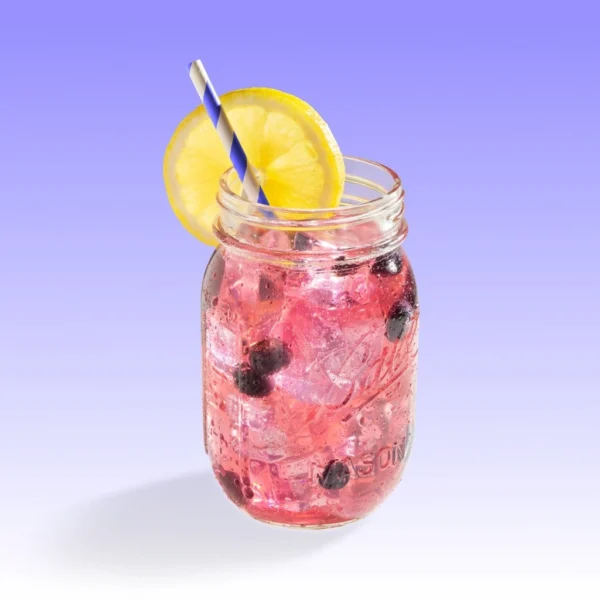 Cocktail Lemonade Blueberry en Poudre – Pack 12 Sachets